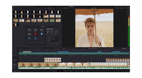 davinci resolve tech support